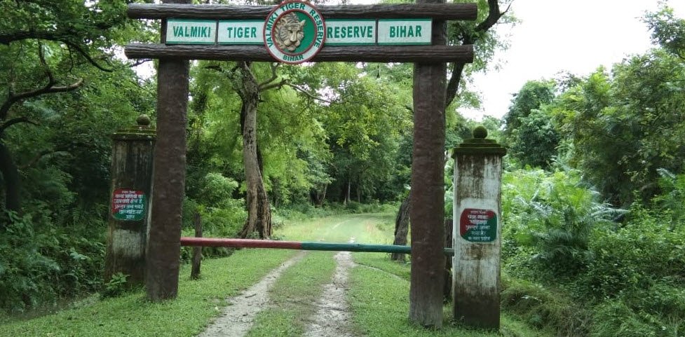 Valmiki Wildlife Sanctuary, West Champaran, Bihar - Vushii.com Valmiki Wildlife Sanctuary, West Champaran, Bihar - Vushii.com